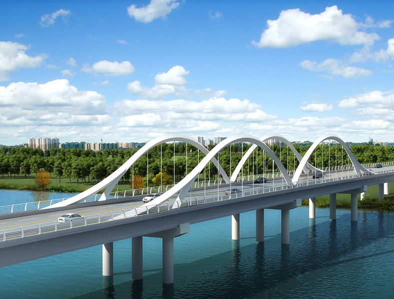 Nanyang Wantong Steel Arch Bridge (500t)